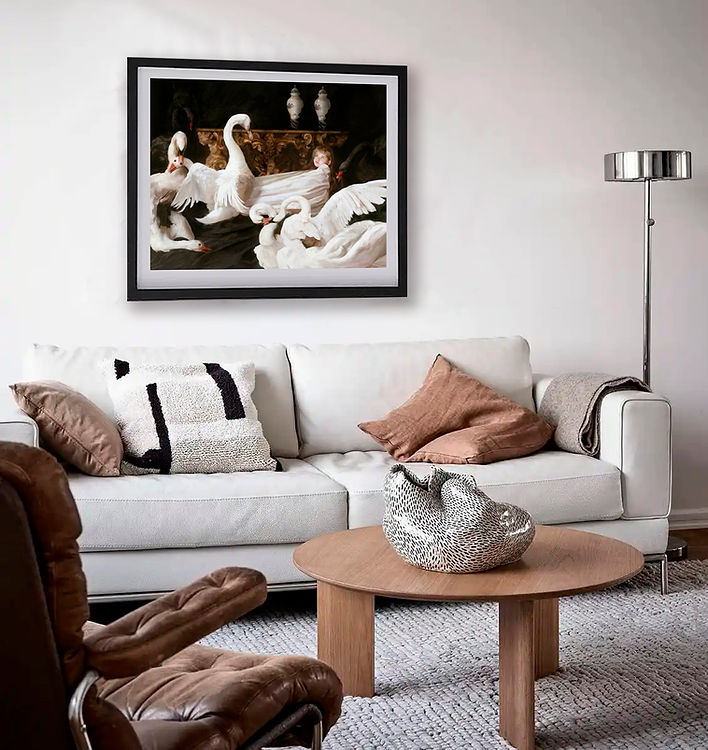 La invasión de los cisnes / The invasion of the swans