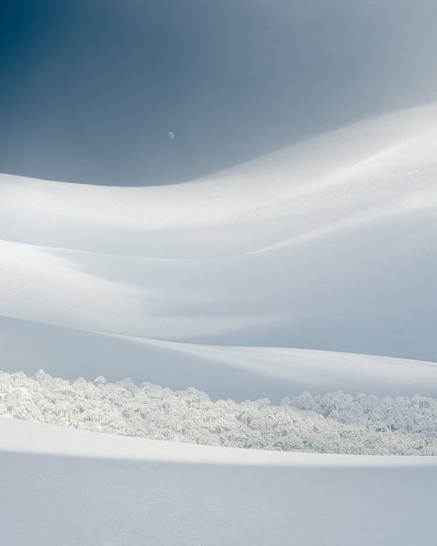 Bosque Escondido 2023