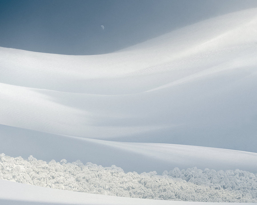 Bosque Escondido 2023