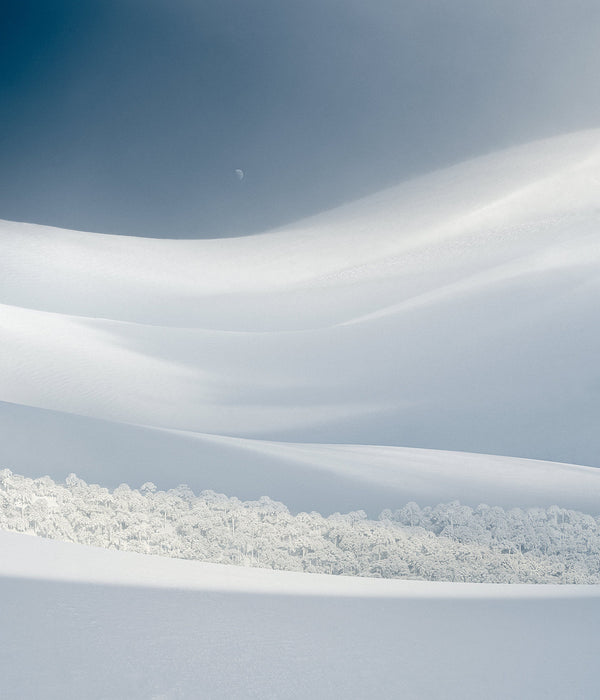 Bosque Escondido 2023