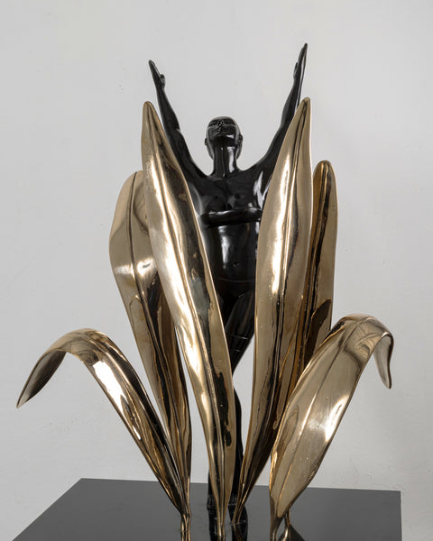 Freddom - Ignacio Gana