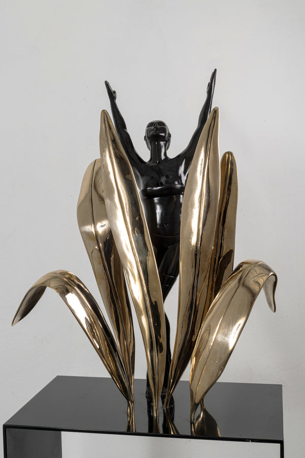 Freddom - Ignacio Gana