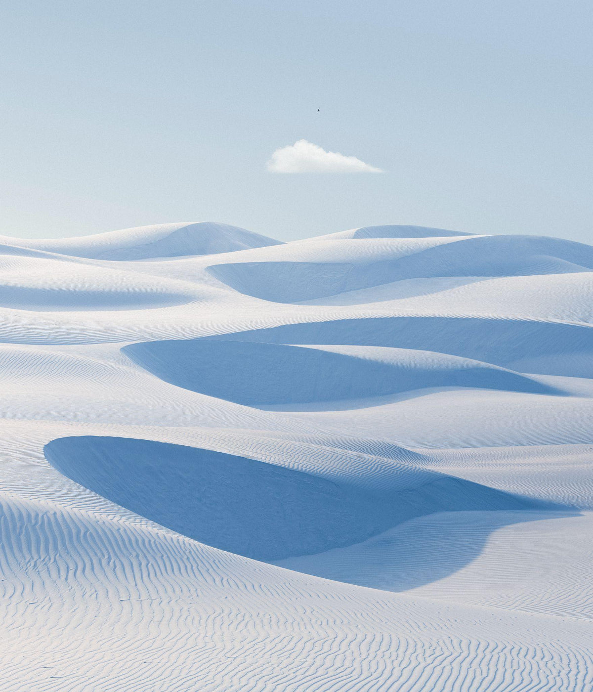 Alamah, 2023, fotografía Fine Art de Benjamín Briones Grandi