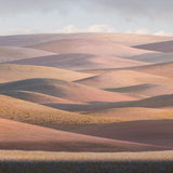 Bloom, 2022, fotografía Fine Art de Benjamín Briones Grandi