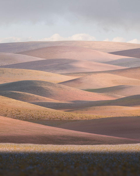 Bloom, 2022, fotografía Fine Art de Benjamín Briones Grandi
