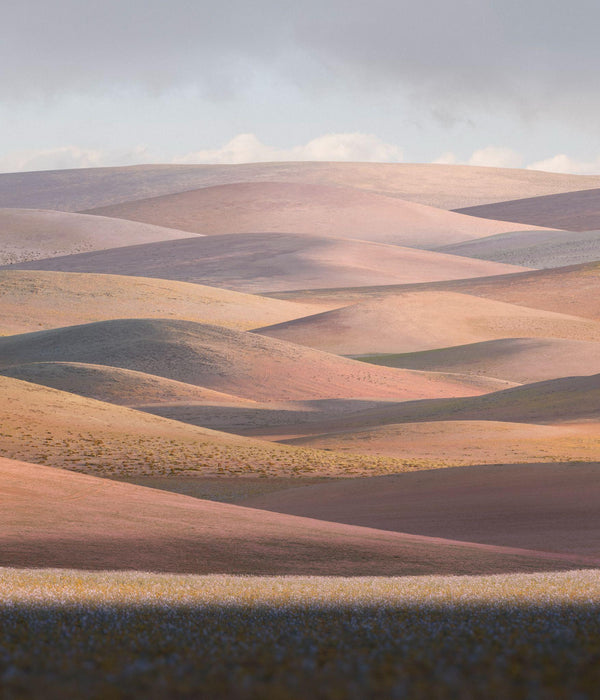 Bloom, 2022, fotografía Fine Art de Benjamín Briones Grandi