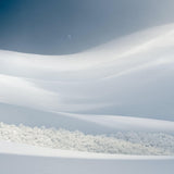 Bosque Escondido, 2023, fotografía Fine Art de Benjamín Briones Grandi