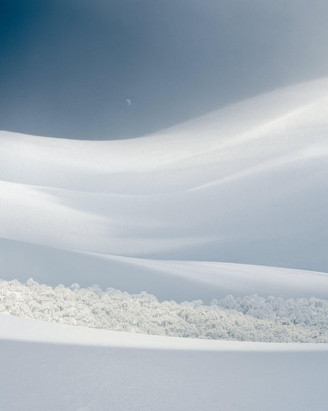 Bosque Escondido, 2023, fotografía Fine Art de Benjamín Briones Grandi