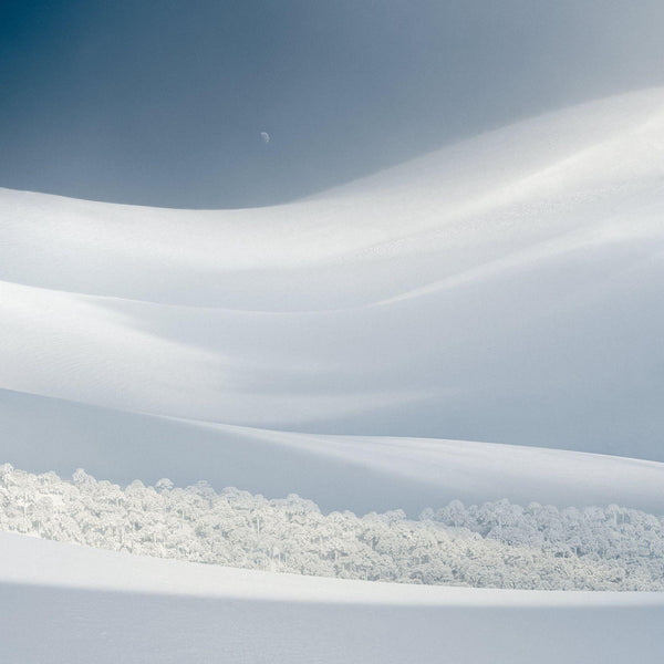 Bosque Escondido, 2023, fotografía Fine Art de Benjamín Briones Grandi