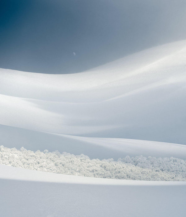 Bosque Escondido, 2023, fotografía Fine Art de Benjamín Briones Grandi