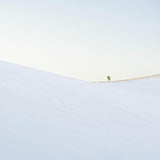Delicado, 2021, fotografía Fine Art de Benjamín Briones Grandi