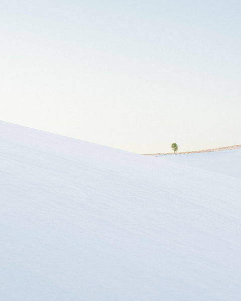 Delicado, 2021, fotografía Fine Art de Benjamín Briones Grandi