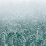 Nevazón, 2025, fotografía Fine Art de Benjamín Briones Grandi
