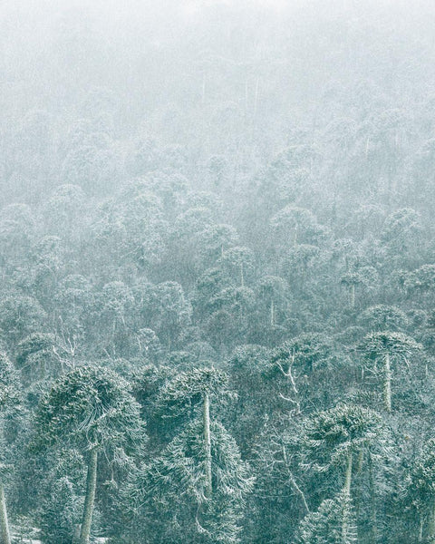 Nevazón, 2025, fotografía Fine Art de Benjamín Briones Grandi